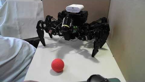 近藤科学の多脚ロボットKMR-M6でボールを追いかけるロボット（１）