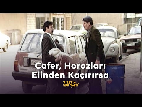 Cafer Horozları Elinden Kaçırırsa - Bizimkiler | TRT Arşiv