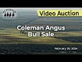 Coleman angus bull sale
