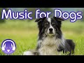 15 Hours of Soothing Dog Therapy Music - INSTANTLY Calm My Dog Down! (TESTED)
