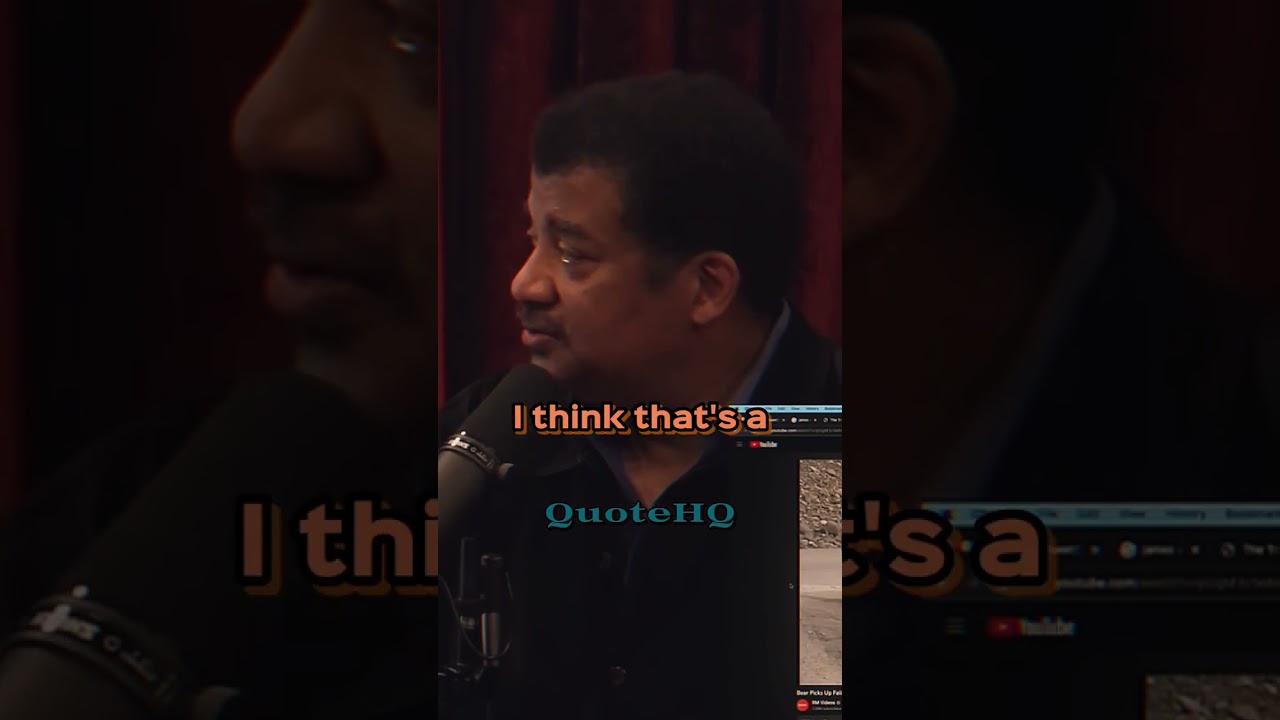 How SMART are GRIZZLY bears? 😳