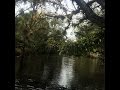 Kayaking on the St. Lucie River, Stuart, Florida