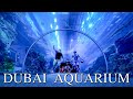 Exploring DUBAI AQUARIUM & UNDERWATER ZOO