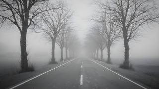 Things My Heart Hasn't Finished Losing | Sad Emotional Music Compilation | MuseKey