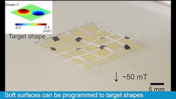 Wang et al. - Cell Reports Physical Science - Surgical Robotics Laboratory