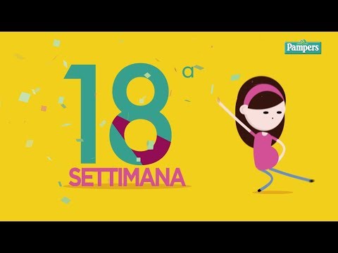 Video: 18 Settimane Di Gravidanza: Sensazioni, Sviluppo Fetale