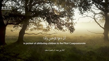 وقالوا اتخذ الرحمن ولدا القارئ عبد الرحمن مسعد حالات واتس اب هادئة
