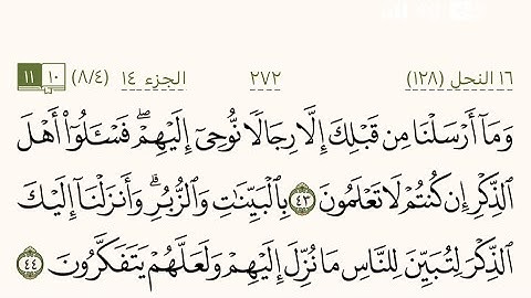 سورة النحل من صفحة 271 إلى صفحة 276 بصوت الشيخ ماهر المعيقلي