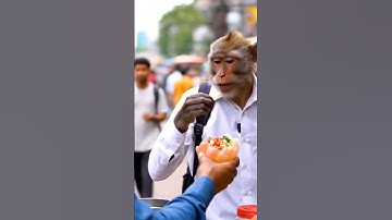 munkeinthecite #ai #funny #monkeyvlog #sorts #comedy #bandar #monkey #bandarvlog