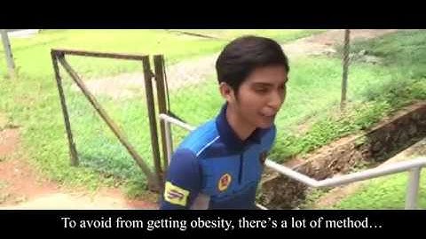 Exercise for Obesity People