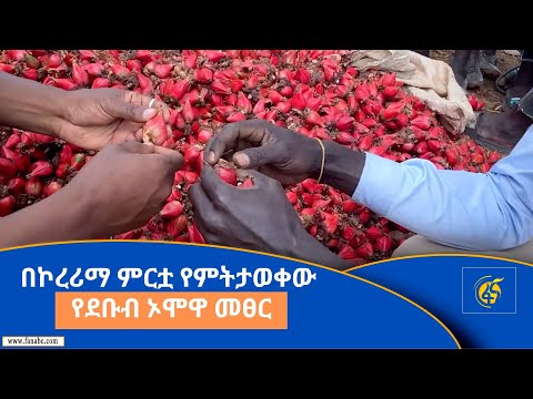 ቪዲዮ: የደቡብ አተር ብላይት በሽታዎች - በደቡባዊ አተር እፅዋት ላይ የህመም ምልክቶች