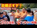 相撲ファンと関取の距離が一番近い大相撲地方巡業！神宮奉納大相撲2025！The Only Sumo Tour Letting Sumo Fans Talk So Friendly To Rikishi