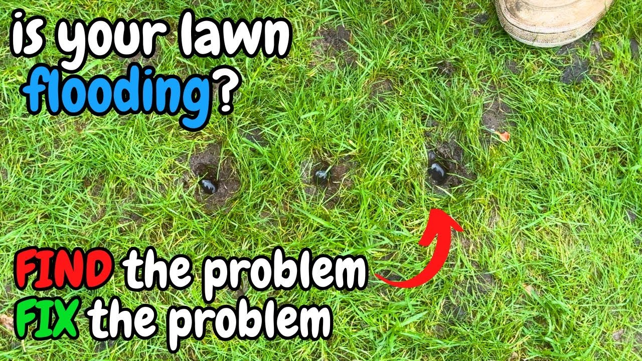 How I Stopped My Lawn Flooding - You Can Do The Same! - YouTube