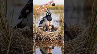 ♥️#Dua" ki Tilawat♥️#video #viral #beautiful #islamicprayer #love #cutebaby #cute #shortvideo