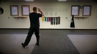 Download Lagu Shyun System Tai Chi Tao MP3