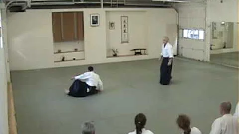 David Halprin - irimi-nage