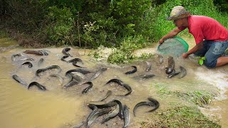 Awesome Cast Net Fishing in Flood Season 20023- Best Cast Net Fishing Video