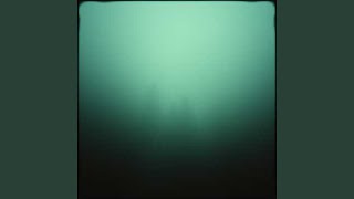 Muted Echoes