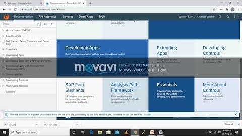 SAP SDK EXPLORED #SOFTWARE_DEVELOPMENT_KIT