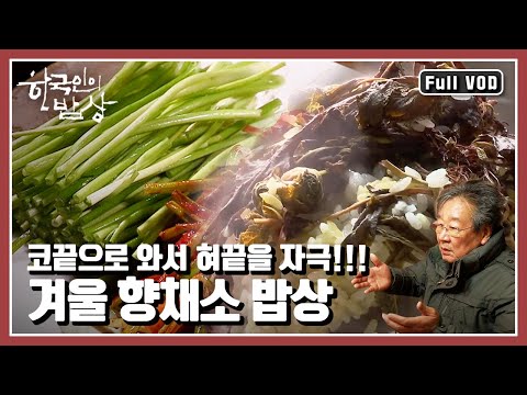 [한국인의밥상★풀버전] 갖가지 👃🏻향으로 오감을 사로잡고 사람들을 유혹하는 겨울 🥬향채소들🥬 “오감을 사로잡는 향기로운 추억 - 겨울 향채소 밥상” (KBS 20160211 방송)