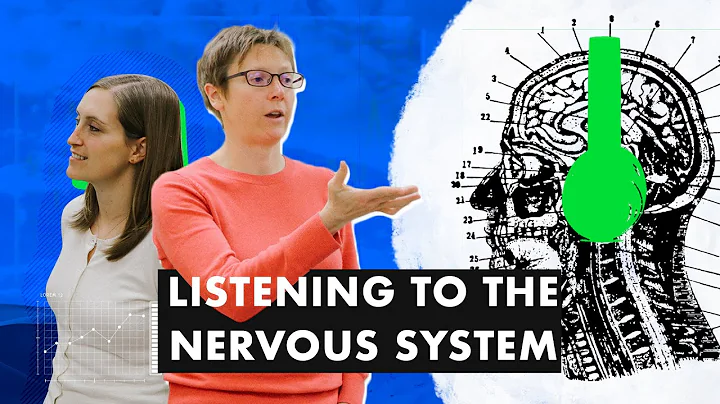 The Sympathetic Nervous System and Vascular Health...