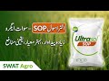 Best Potash in World Ultrasol SOP 25KG – Swat Agro Chemicals