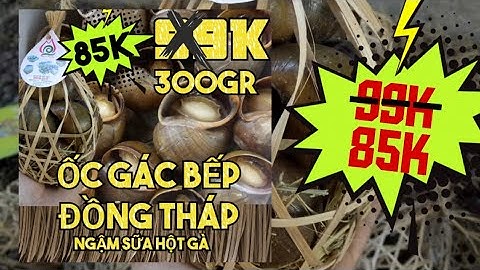 Ốc gác bếp là ốc gì sao giá cao quá? Lý Hương TV bày cách nấu chuẩn đặc sản Nhà hàng Đồng Tháp