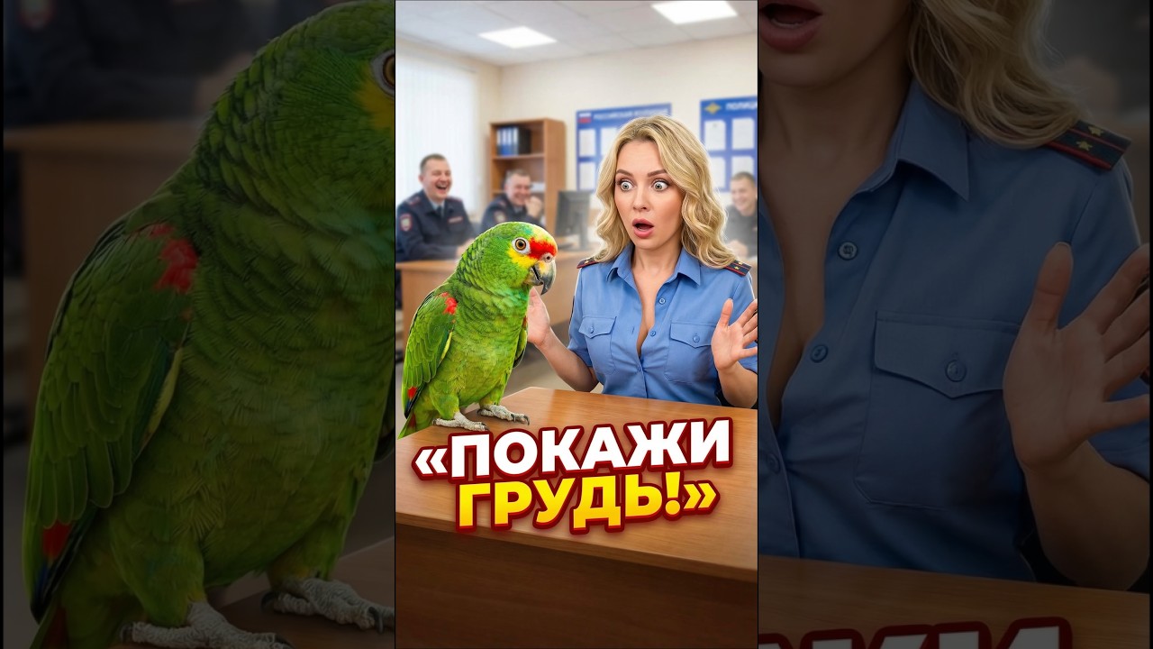 Попугай не может отвести взгляд! 😱 #смешно #попугай