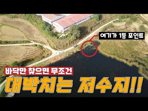 팩트 꽝이 없는 저수지 말풀 사이로 바닥만 찾으면 찌는 무조건 올라온다 빵빵한 흑색 대물붕어들이 꿈틀거리는 소류지 1등 포인트 소개받고 들이댑니다 텐션 업