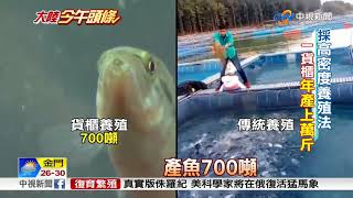 大陸今午頭條~廢棄貨櫃養魚 產量比傳統魚塭多35倍│中視新聞特別企劃 20180831