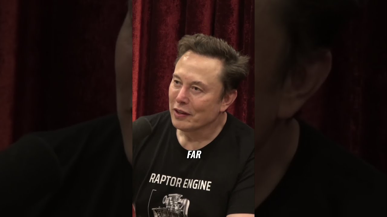 Elon Musk Calls Out Social Security A Ponzi Scheme In Disguise Joerogan