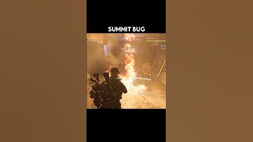 Summit Bug