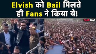 Elvish Yadav Bail Granted: एल्विश को Snake Venom मामले में मिली Bail, fans ने Internet  पर किया ये!