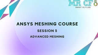 ANSYS Meshing Full Free Course, Session 5: Advanced Meshing screenshot 2