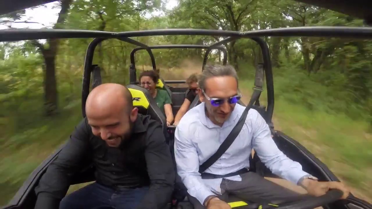 Visita en Buggy - Finca Oller del Mas