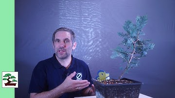 Constraints and When to Remove them