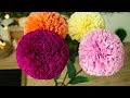 วันละCrafts | How to Make | Easy paper flower | วิธีทำดอกคาเนชั่นกลม | ทำดอกไม้กระดาษ | by Looknam