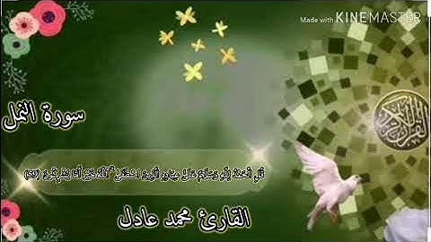 سورة النمل من الآية ٥٩ إلى الآية ٦٦ بصوت القارئ : محمد عادل