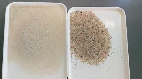 Agricultural machine rice color sorter machine sorting video