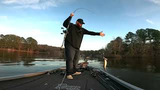 Lake Gaston stripers, largies and spotted bass 11212020