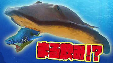 تحميل ラッシー تحميل ラッシー