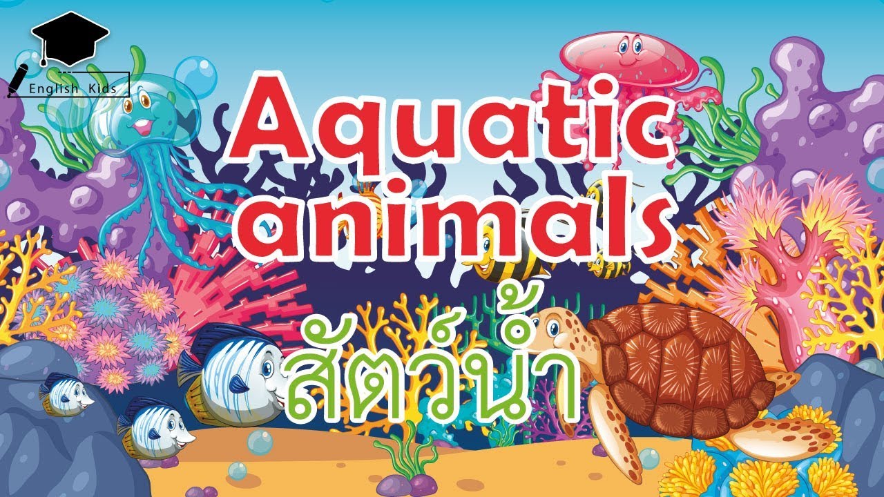 คำศัพท์ภาษาอังกฤษสำหรับเด็ก  หมวดสัตว์น้ำ Aquatic animals Vocabulary การ์ตูนความรู้