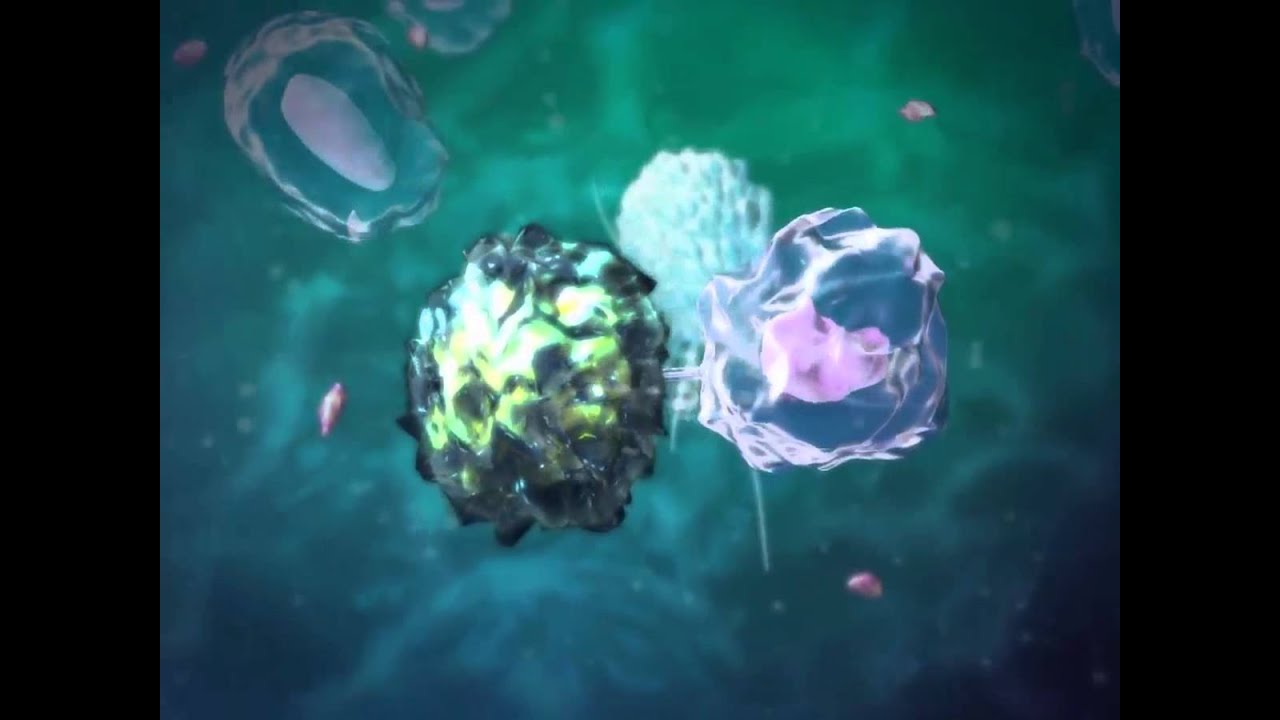 Lymphatic Overview: Learn@Visible Body