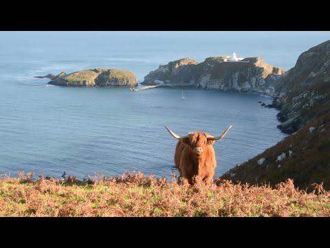 ვიდეო: სად არის ლანდი კუნძული დიდ ბრიტანეთში?