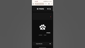 Paws Connect Solana Wallet Task || PawsSolana Withdrawal || Connect SolanaWallet Paws Process