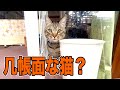 絶対同じ所に物を置く猫!