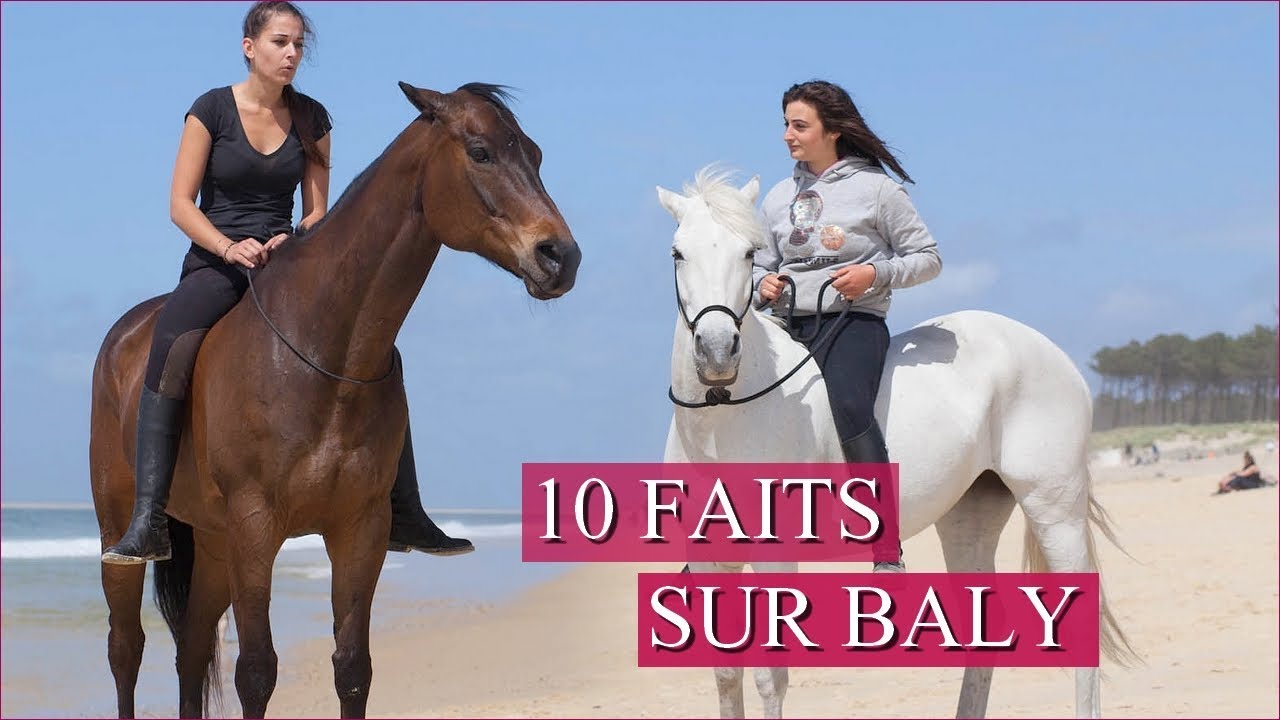 BALY N'AIME PAS LES GRIS ! - 10 faits sur Baly