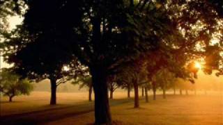 Watch Parker Theory I Believe video