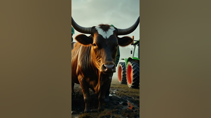 Incredible Cow Rescue from Mud: Watch the Heart-Stopping Moment of Freedom! #animalrescue