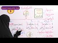 5 علامات ضبط المصحف السكت ومعلومة مهمة جدا في هذا الفيديو لأول مرة ستفهم السكت